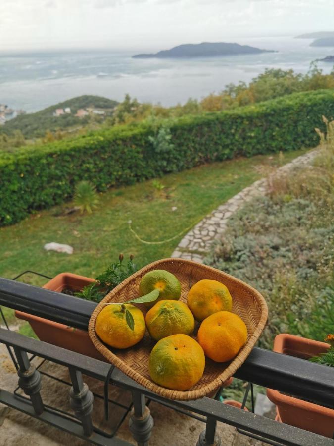 Lux Villa Budva